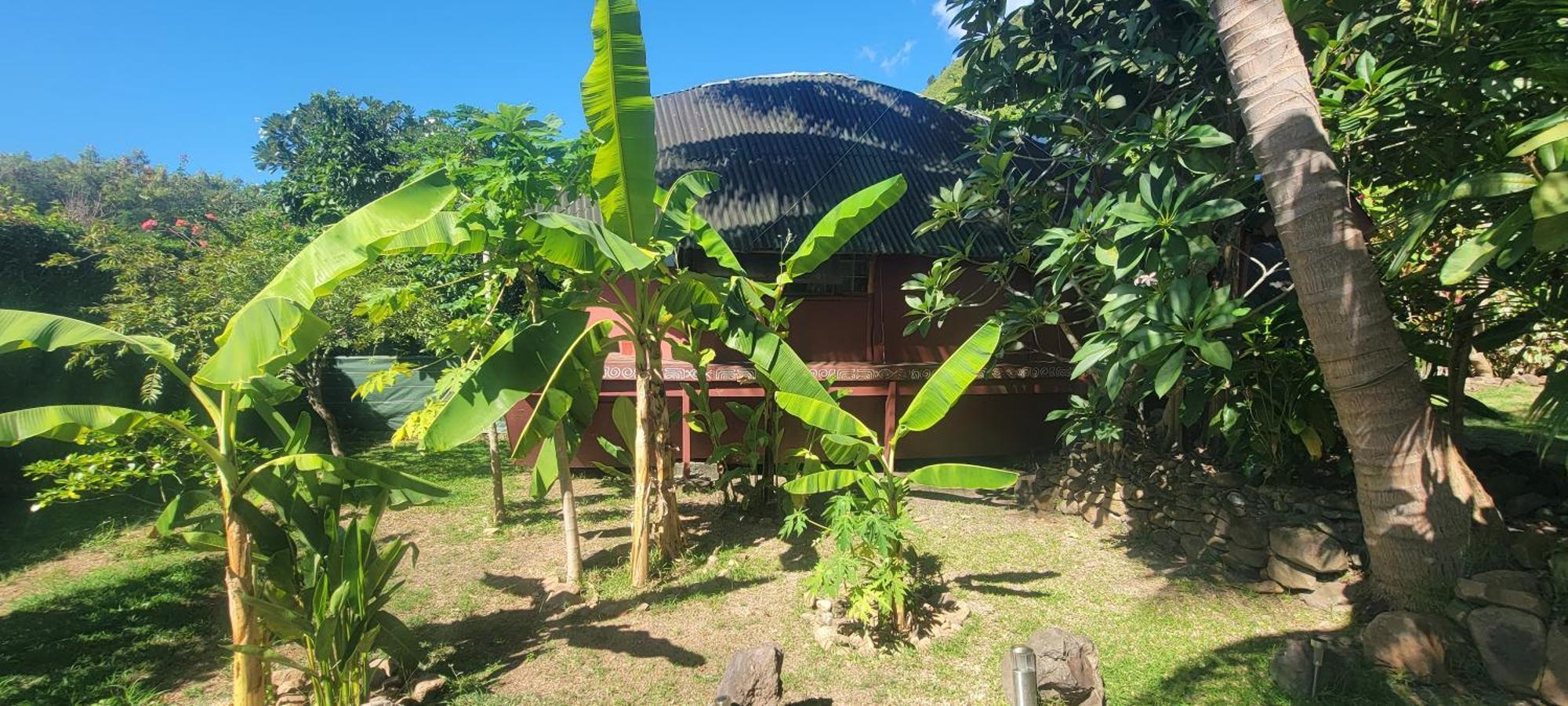 Location " La Pirogue " Maison D'Hotes A Moorea Haapiti Exteriör bild